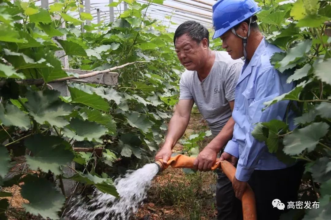 葡萄种植致富采访_致富采访种植葡萄的人_致富采访种植葡萄视频