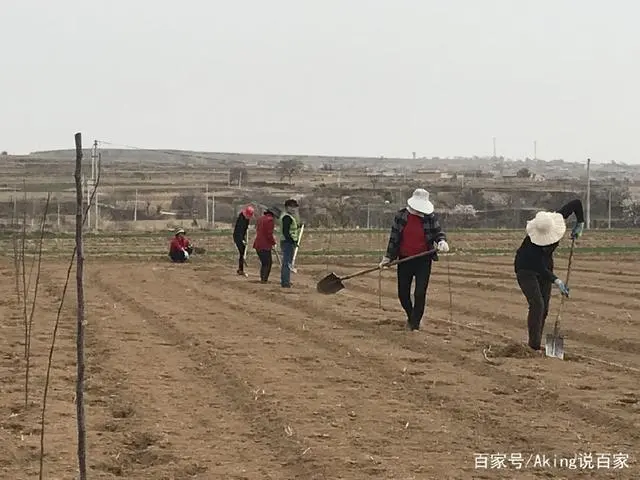 走访葡萄种植户_葡萄种植致富采访_致富采访种植葡萄的问题