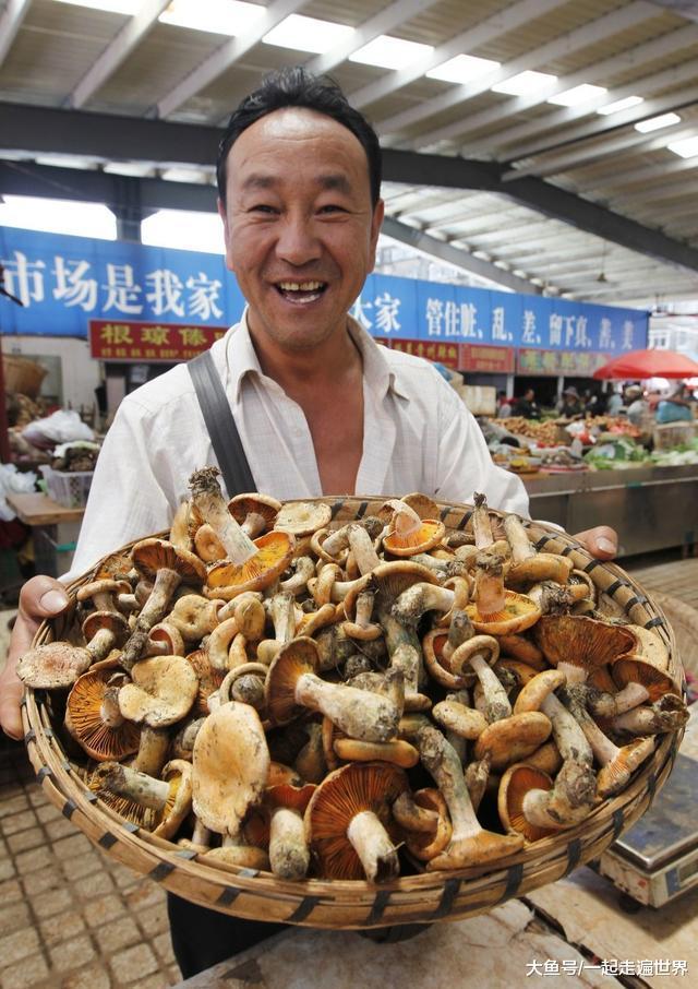 男子捡到一簇罕见的野生菌，准备以10万卖掉，最后他能成功吗？