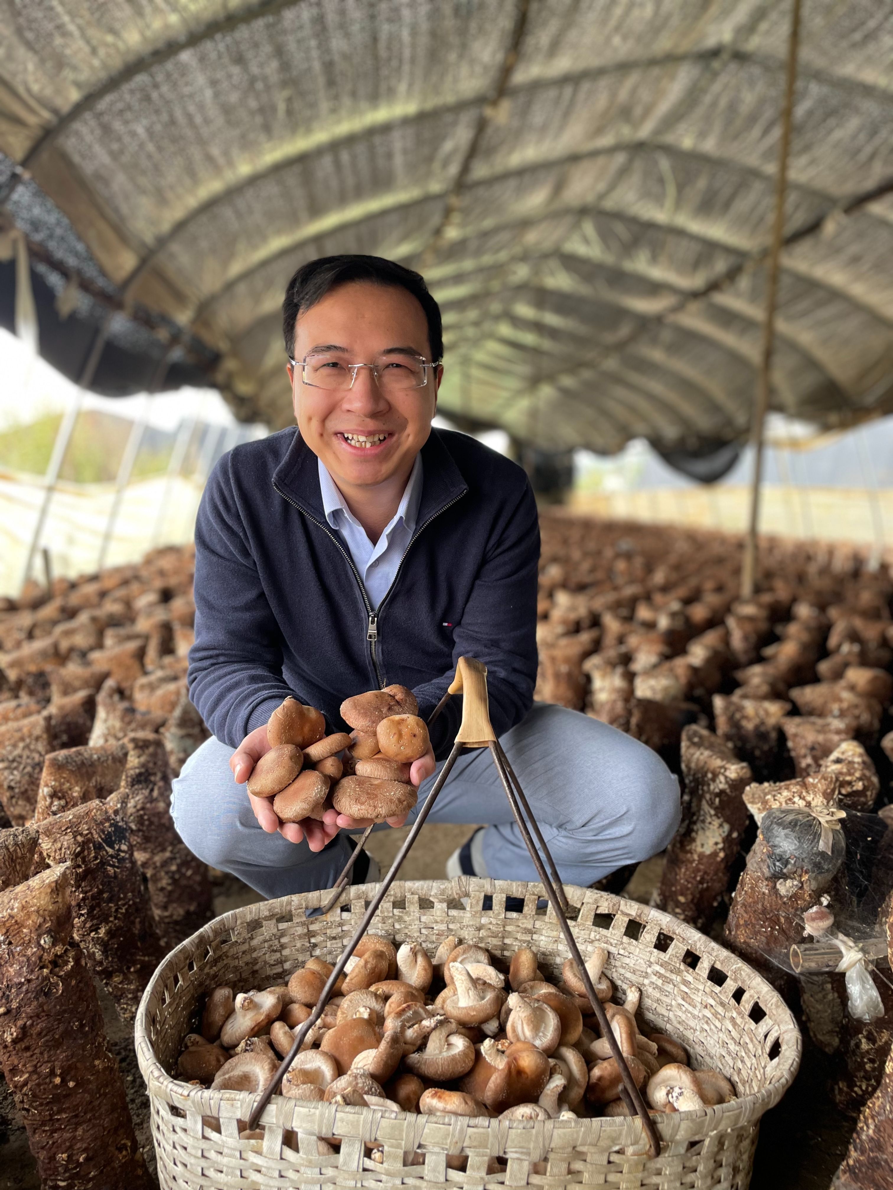 野生菌种植基地_野生菌产业_致富经野生菌