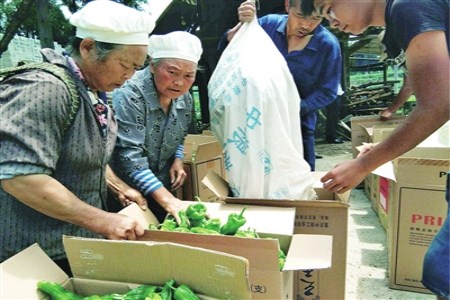 糯米红薯饼怎么做好吃：早稻与蔬菜要谨防低温冻害