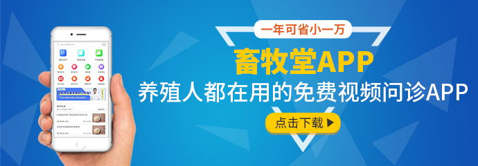 优质番鸭高效养殖关键技术_番鸭养殖新技术_番鸭养殖技术要点