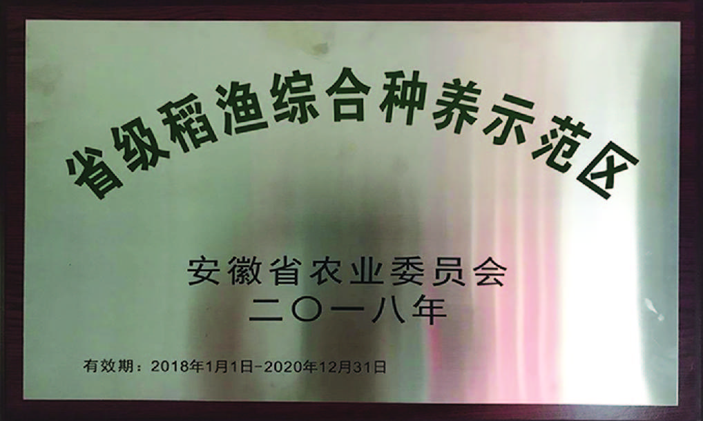 致富虾稻田养殖视频_稻田养殖虾_致富经 稻田养虾