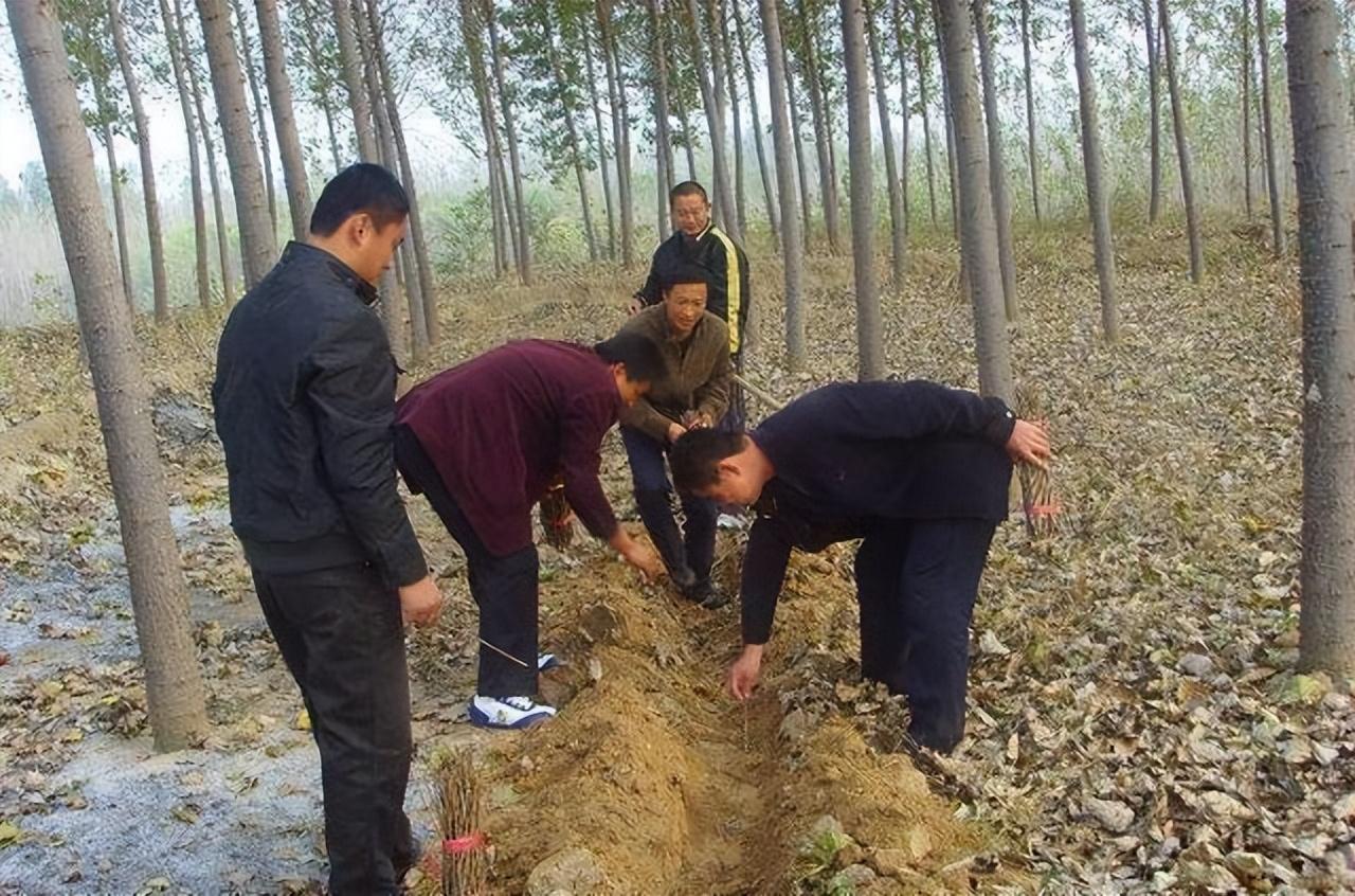 农业节目致富经养殖视频_致富经养殖业视频_养殖致富财经视频