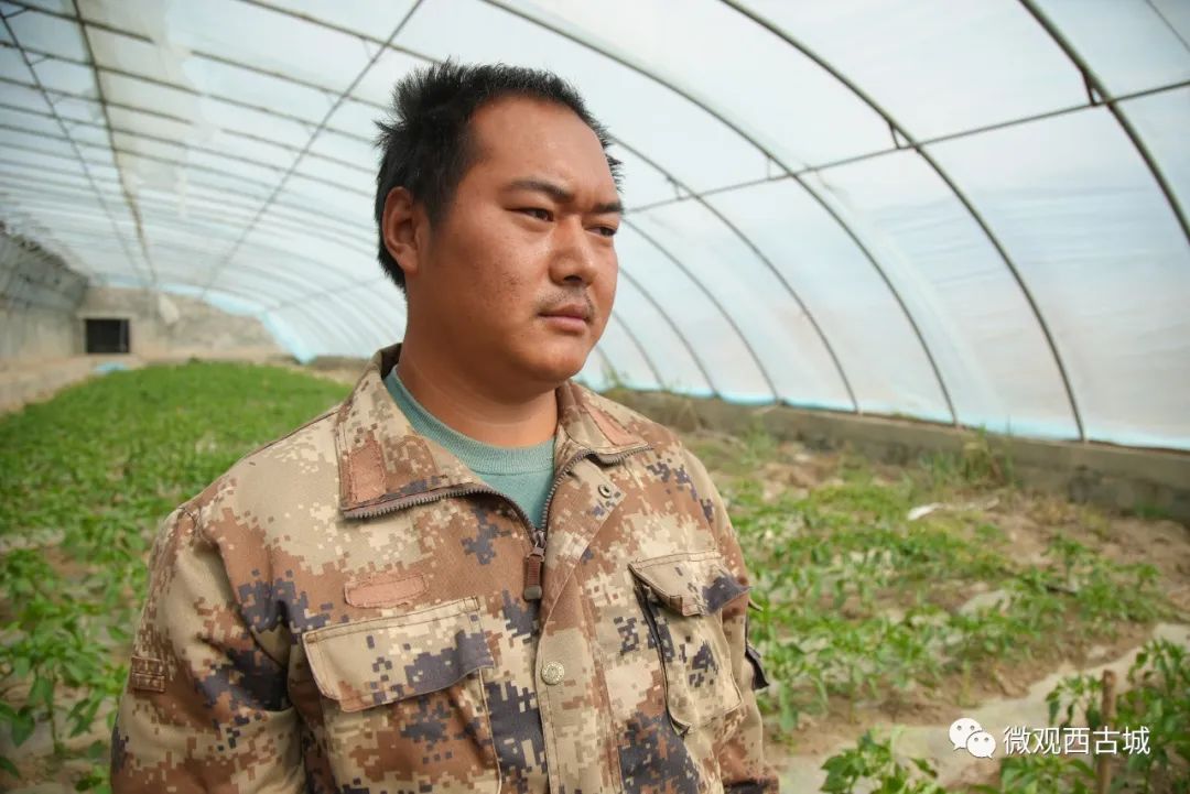 种蔬菜致富经_种植蔬菜致富材料_新型致富项目蔬菜