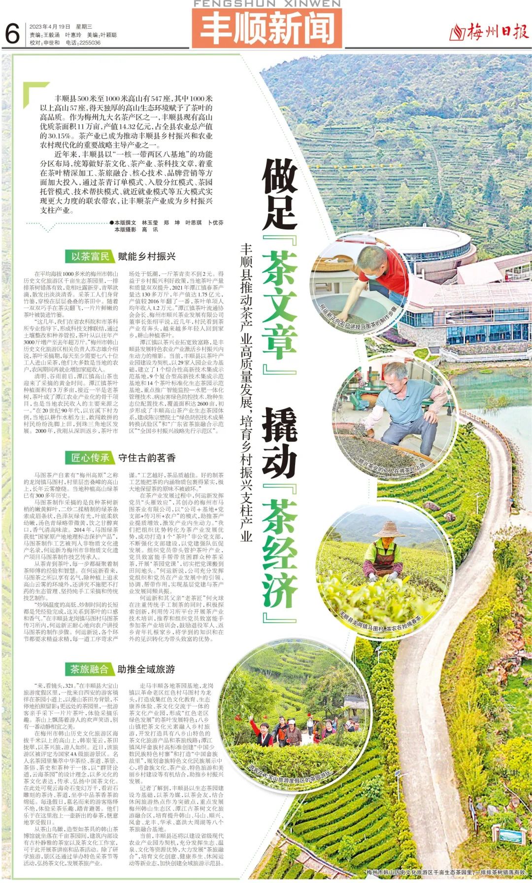 茶叶致富经_茶农致富_茶叶种植致富案例