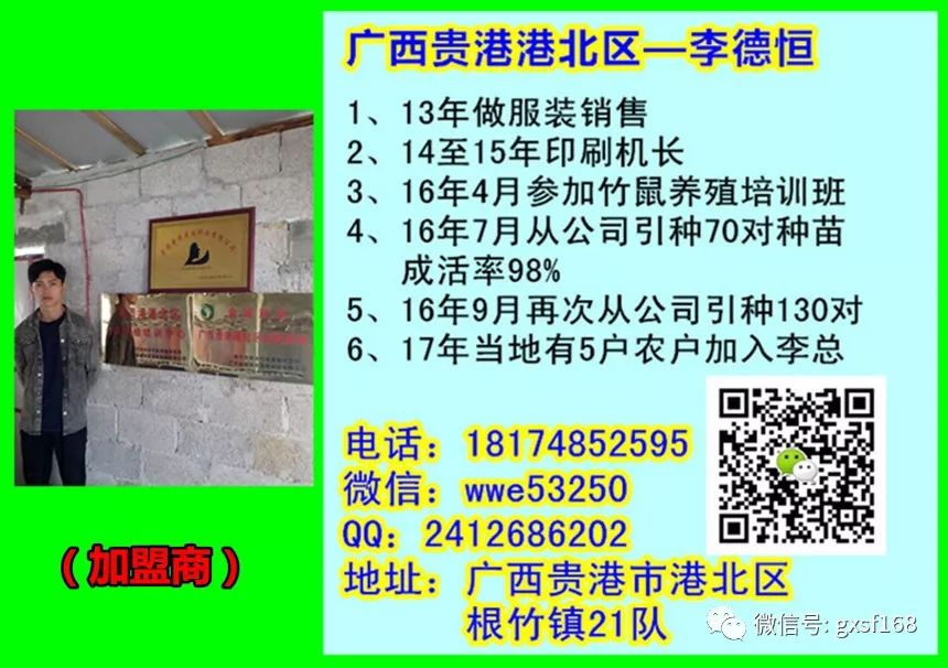 农村养豪猪需要什么条件_致富养殖农村豪猪图片_农村养殖豪猪致富