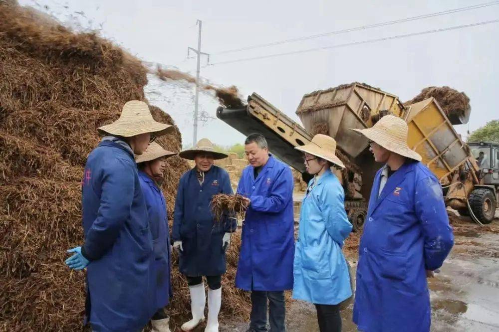 云南蘑菇基地_致富经云南种蘑菇那集_云南蘑菇种植基地