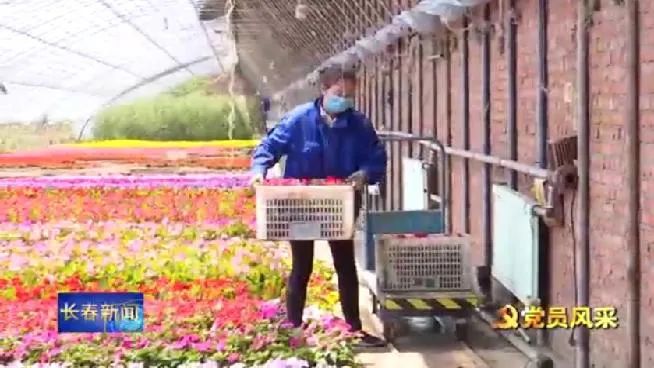 种植花卉能致富吗知乎_种植花卉赚钱_养花致富