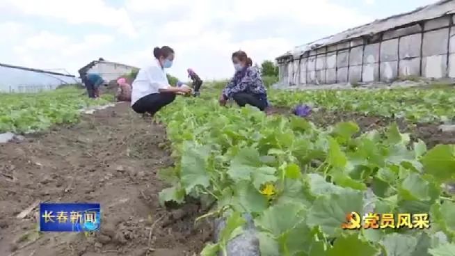 种植花卉赚钱_种植花卉能致富吗知乎_养花致富