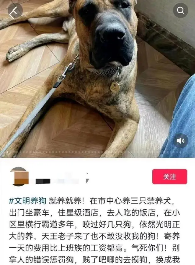 山东致富带头人_山东细犬 致富经_山东致富经