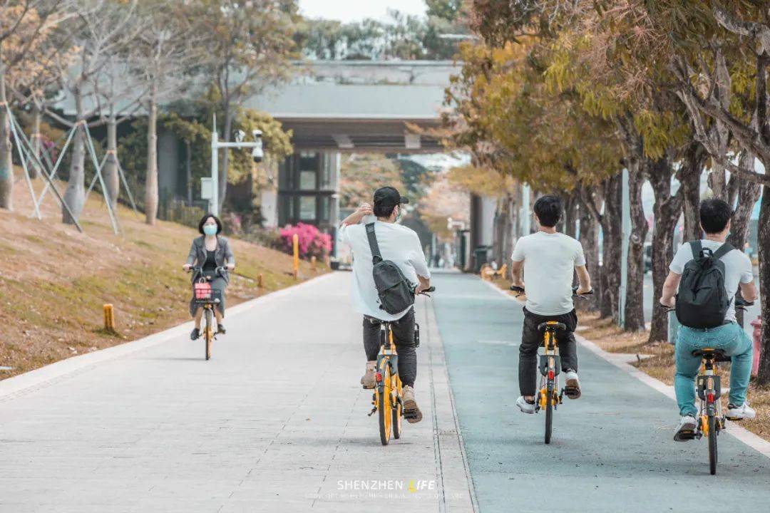 宝安致富居_致富经 深圳_深圳市致富科技有限公司