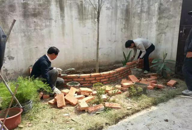 院子种西瓜_家中小院种植西瓜_庭院种植西瓜致富