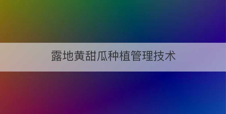 露地黄甜瓜种植管理技术