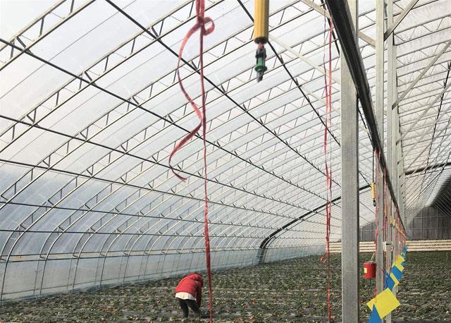 龙虾冬天温室养殖技术_温室龙虾养殖视频_龙虾养殖温度多少