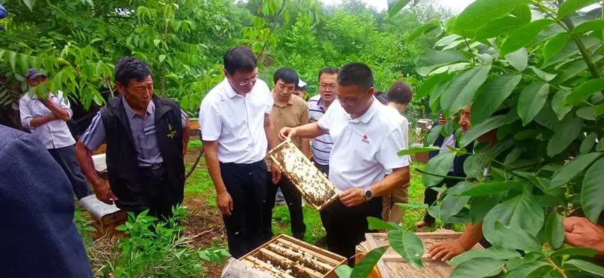 为甜蜜事业添砖加瓦 四川农业大学蜜蜂课题组赴雷波助力乡村振兴