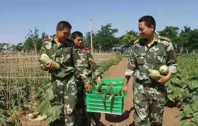 农视网致富经养殖鸡_农业节目致富经养殖鸡视频_农村致富网养殖业养鸡