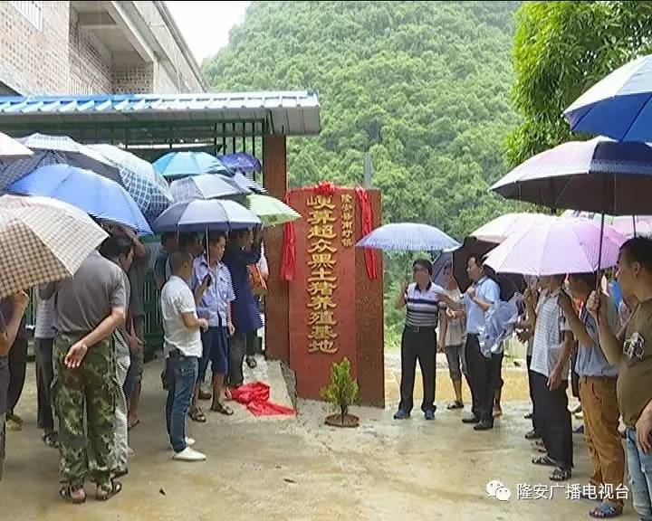 四川内江黑猪养殖_致富经养黑猪四川_致富经四川养殖黑猪