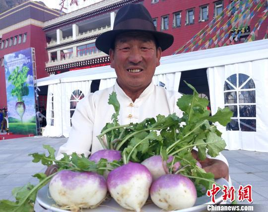 西藏农民种植致富_西藏农民种什么_西藏农村种什么