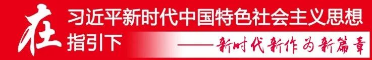 致富鸽子养殖频道直播_致富频道鸽子养殖_致富经养鸽子致富视频