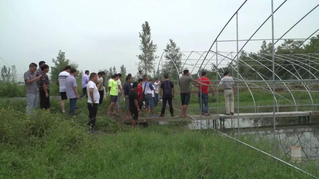 龙虾养殖冬天怎么过冬_温室龙虾养殖视频_龙虾冬天温室养殖技术