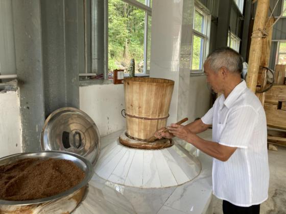 致富种植蛇瓜图片_蛇瓜种植致富_蛇瓜种植视频