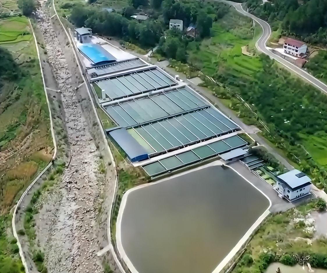 视频致富养草鱼大全_致富经养草鱼视频_养草鱼视频致富养鱼