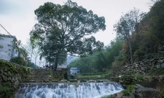 种草养鱼致富经视频_视频致富养草鱼大全_致富经养草鱼视频