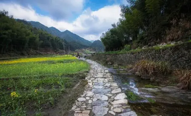 视频致富养草鱼大全_种草养鱼致富经视频_致富经养草鱼视频