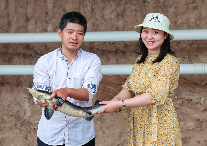 泥养殖泥鳅_无土泥鳅生态养殖技术_泥鳅养殖是不是骗局