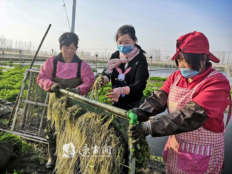 决胜小康 奋斗有我｜姚路路：生态种养殖收获“绿金”