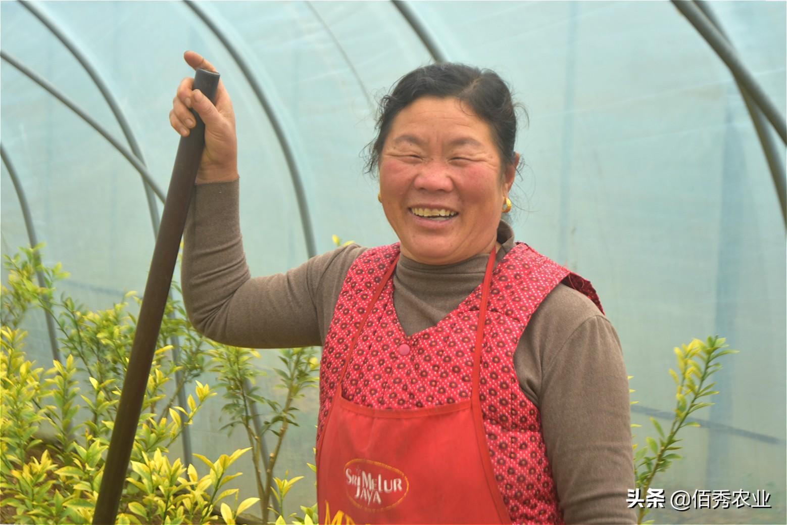 致富种植视频全集_种植致富项目图片_致富种植什么比较赚大钱