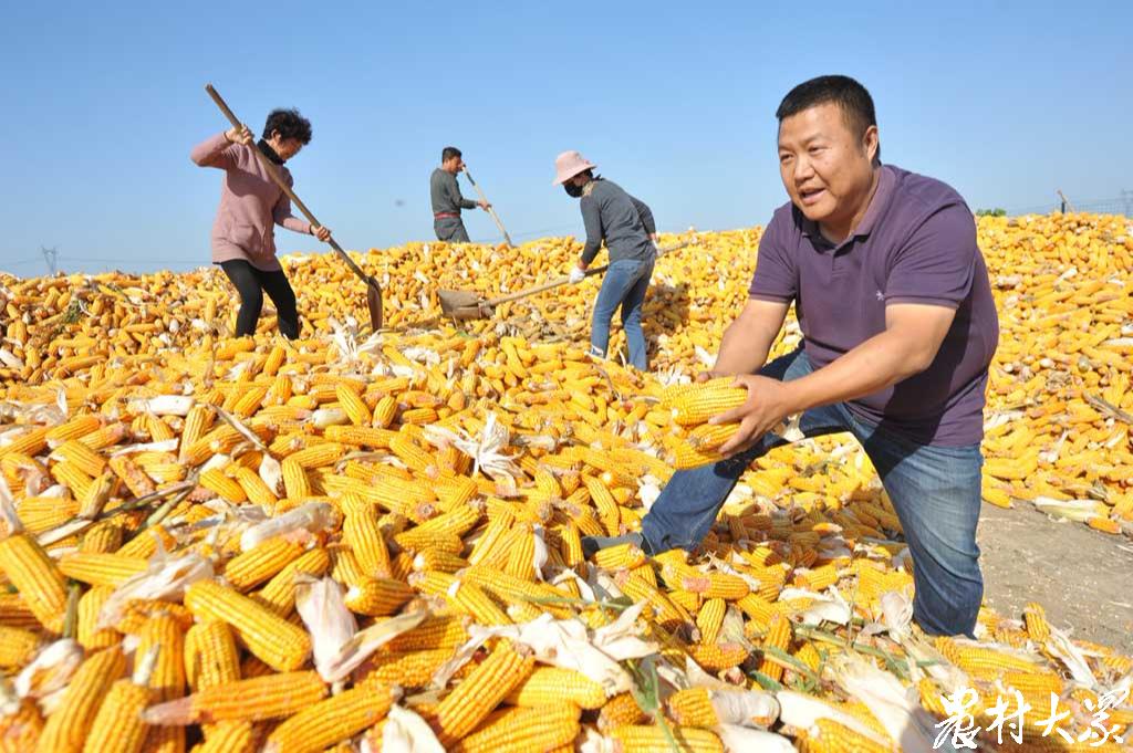 致富经李海林养猪_致富经李海林养猪视频_致富经李海林是哪期