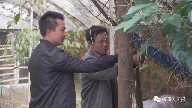 致富蝴蝶养殖之路怎么样_蝴蝶养殖 致富之路_致富蝴蝶养殖之路视频