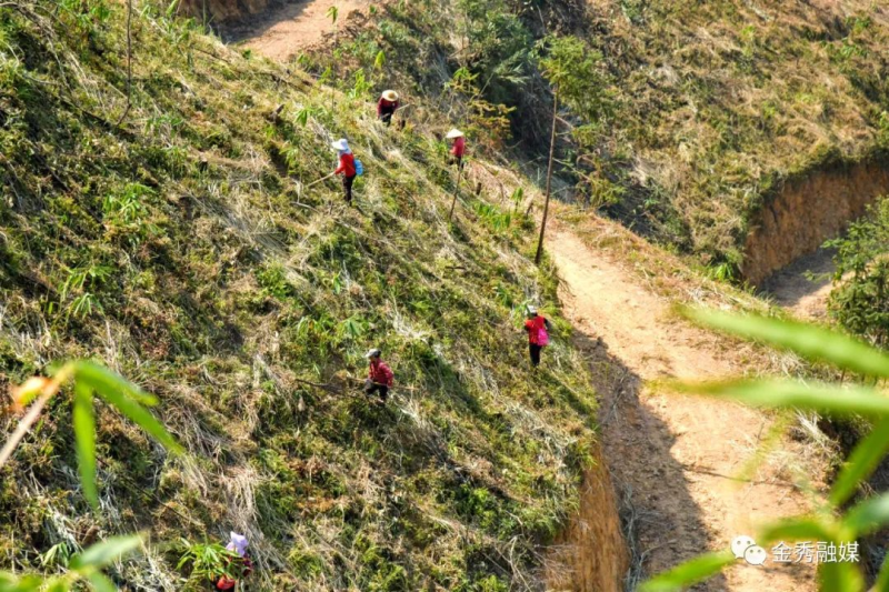 致富种植门路新闻_致富种植门路新闻报道_种植致富新门路