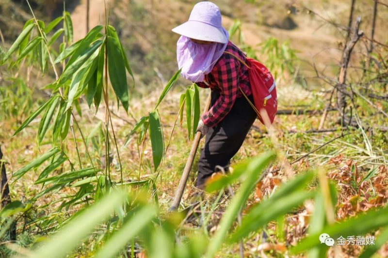 致富种植门路新闻报道_致富种植门路新闻_种植致富新门路