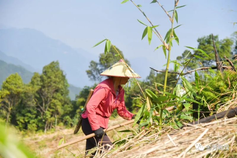 种植致富新门路_致富种植门路新闻报道_致富种植门路新闻