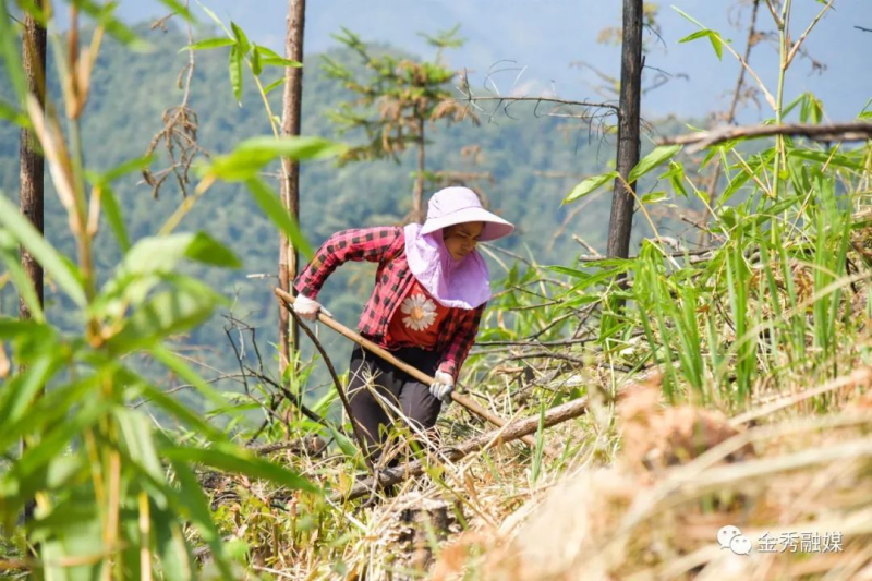 致富种植门路新闻_致富种植门路新闻报道_种植致富新门路