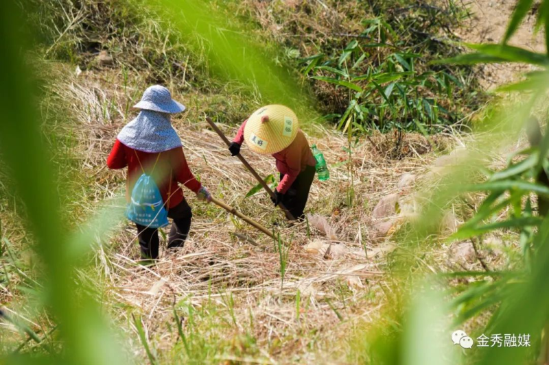 致富种植门路新闻_种植致富新门路_致富种植门路新闻报道