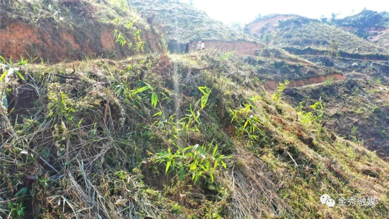 致富种植门路新闻_种植致富新门路_致富种植门路新闻报道