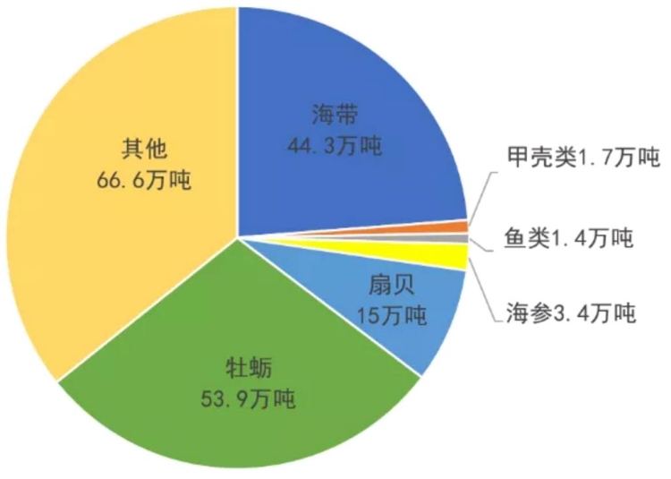 “无废城市”巡礼（57）丨“海洋废弃物”海陆统筹综合管控威海模式