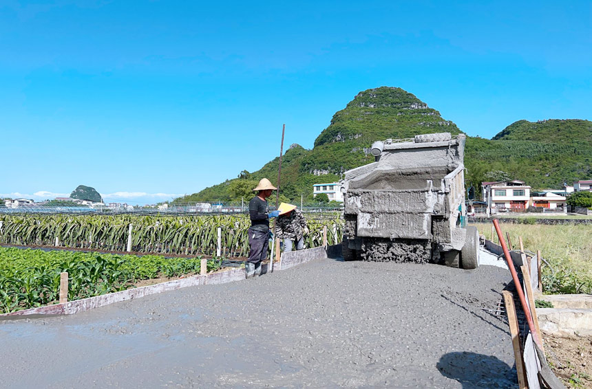 柳江区进德镇：打通产业路 致富有门路