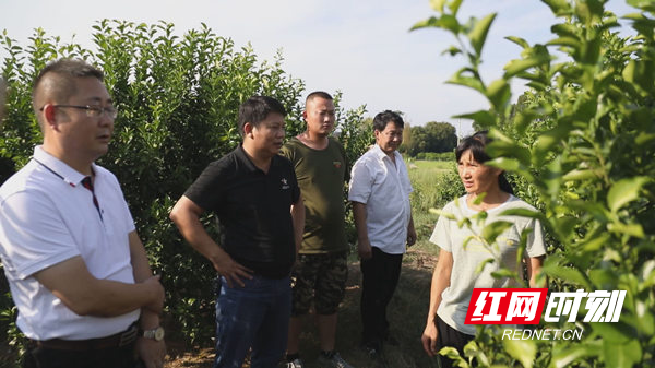 致富种植门路新闻报道_种植致富新门路_致富种植门路新闻联播