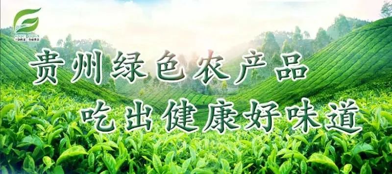 小龙虾养殖致富_致富经小龙虾养殖_致富经龙虾养殖技术视频