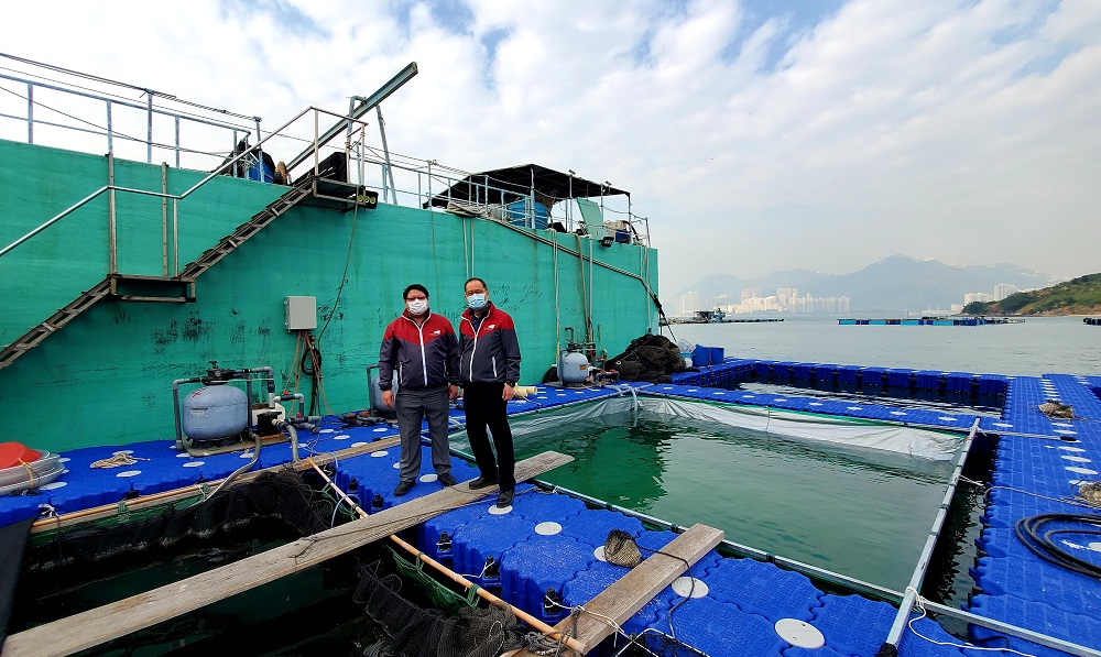 Floating Fish Farm