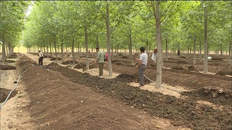 山东省蚯蚓养殖技术_山东蚯蚓养殖基地视频_山东养殖蚯蚓联系电话