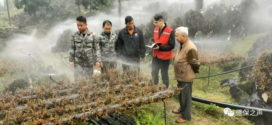 关注 |德保县城今天不是想走就能走；燕峒乡旺屯村、城关镇莲城社区，越来越旺！