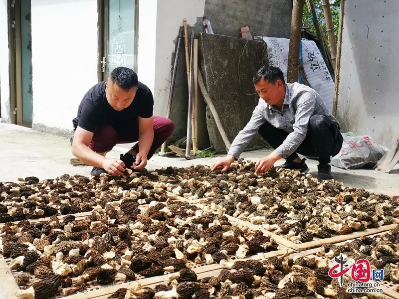 种植致富新门路_致富种植门路新闻联播_种植致富业