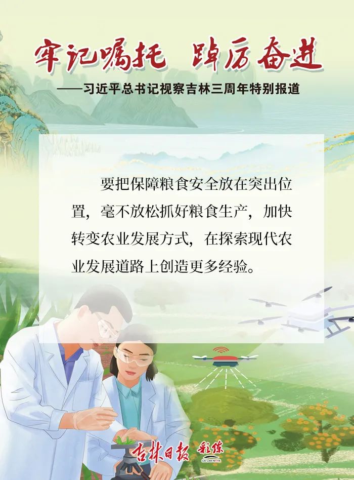 梨树收益_与梨树相关致富经_致富经梨树