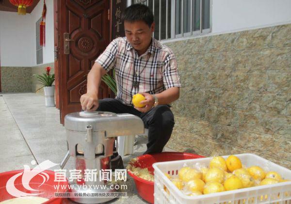 冬季麻鸭养殖技术_致富经鸭子养殖视频_致富经麻鸭怎么过冬